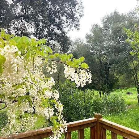 Mobilhome A La Campagne Porto Vecchio Exterior foto