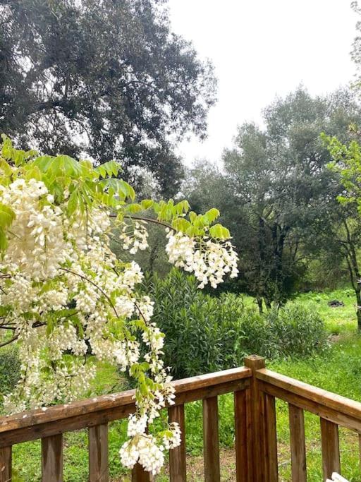 Holiday home Mobilhome A La Campagne *